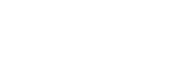 GT Pallet